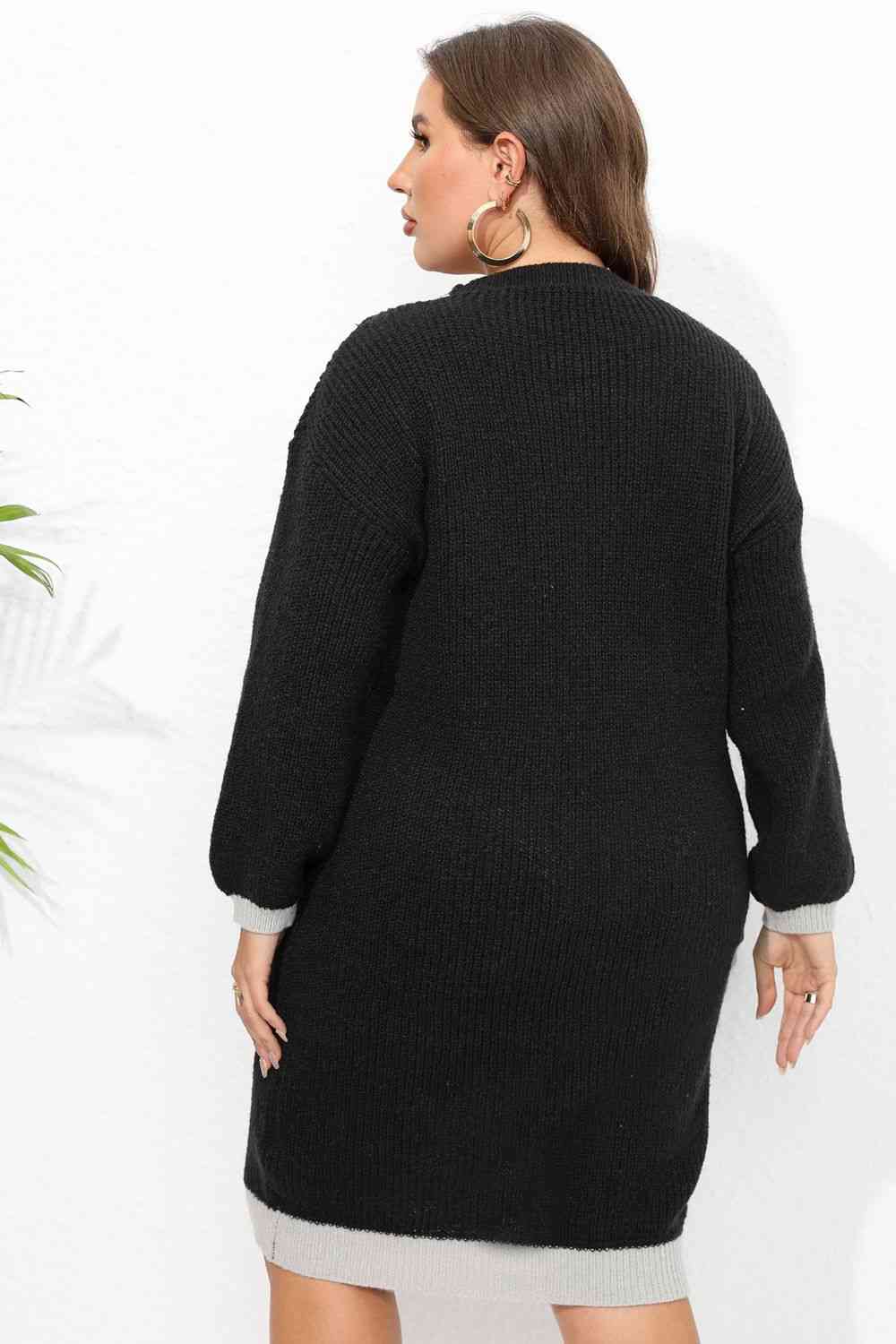 Plus Size Long Sleeve Sweater Dress - AllIn Computer