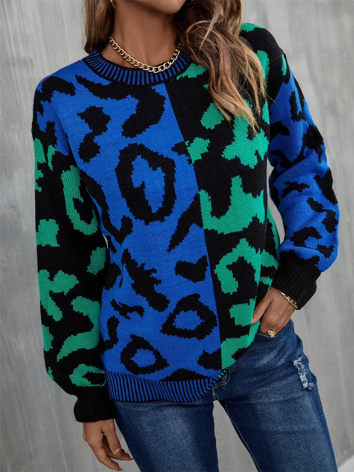 Leopard Round Neck Long Sleeve Sweater - AllIn Computer