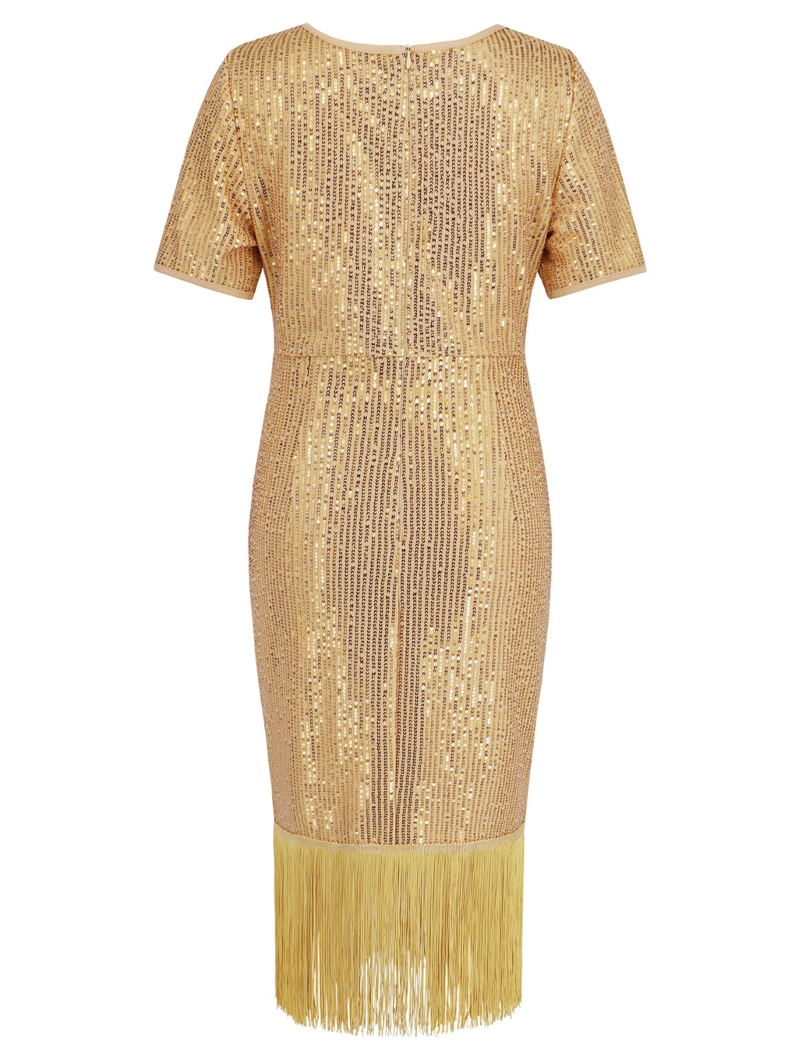 Tassel Sequin Short Sleeve Dress - AllIn Computer