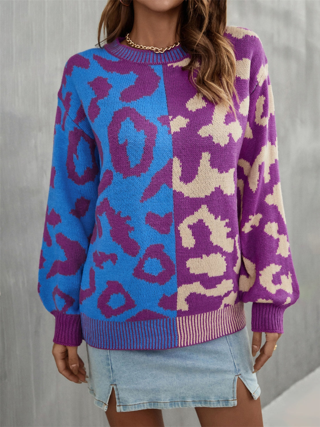 Leopard Round Neck Long Sleeve Sweater - AllIn Computer
