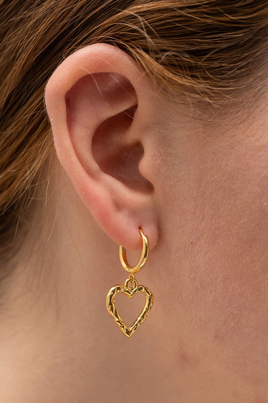 Heart Stainless Steel Drop Earrings - AllIn Computer