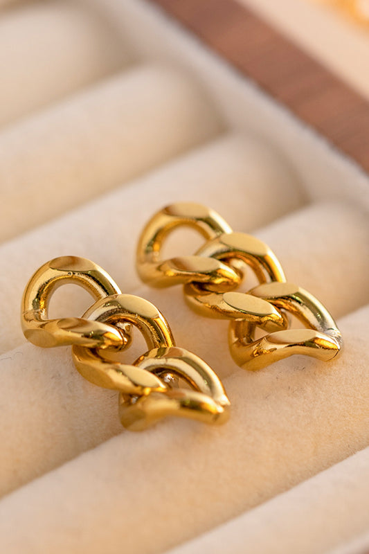 Stainless Steel Chain Earrings - AllIn Computer
