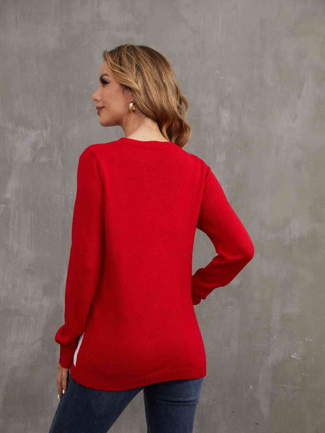 Rudolph Pom-Pom Trim Sweater - AllIn Computer
