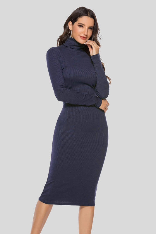 Ribbed Turtleneck Long Sleeve Dress - AllIn Computer
